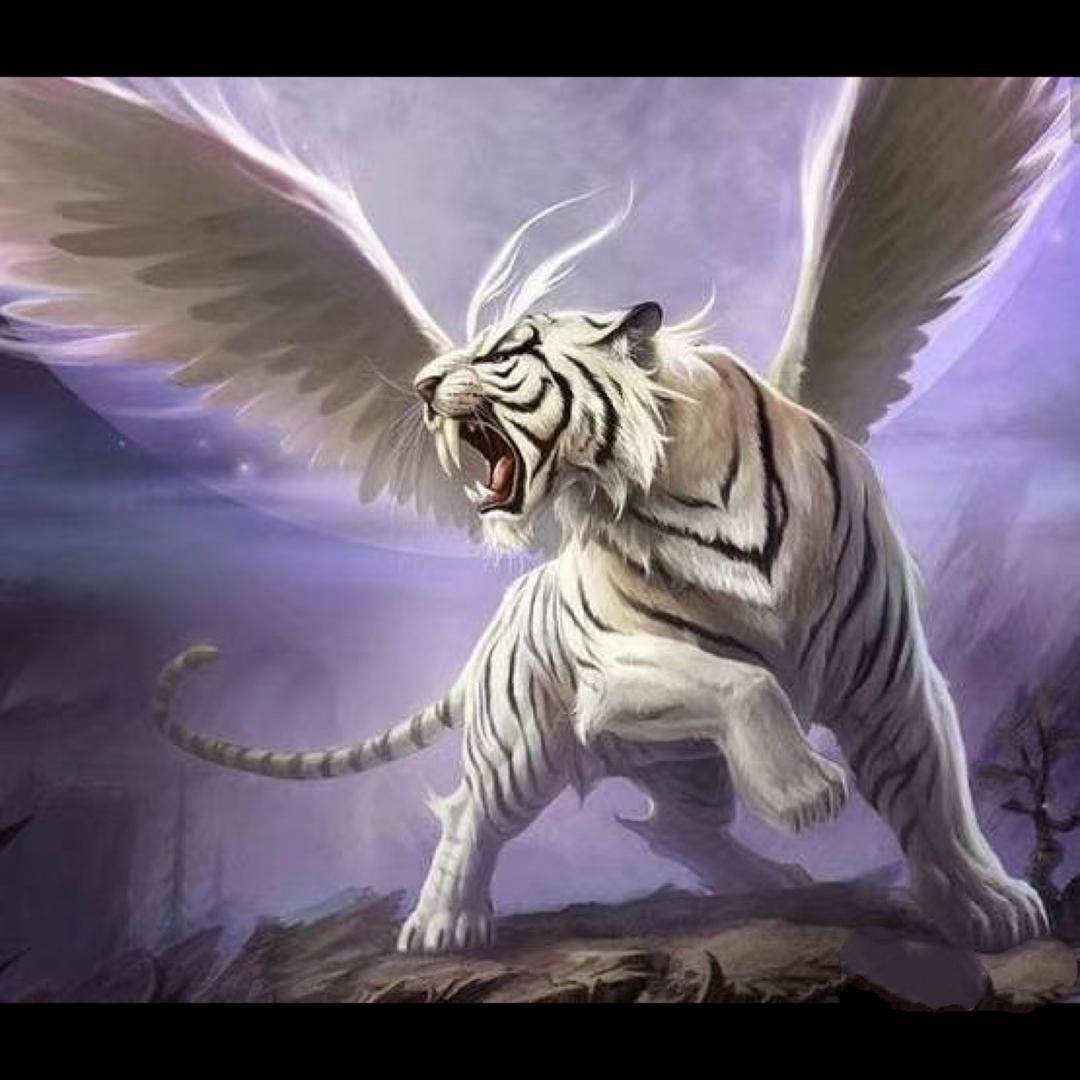 🌈人生与岁月🍀