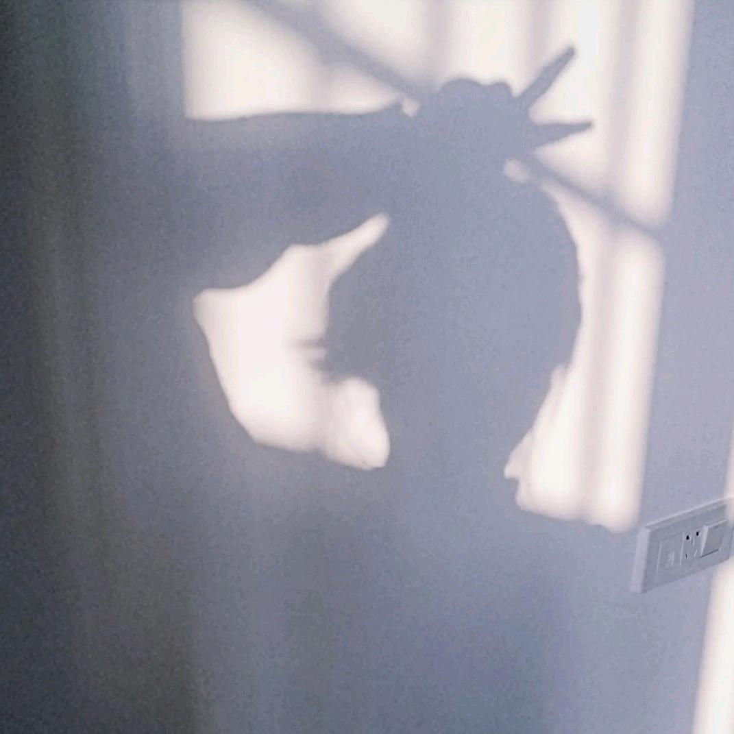 ·小傅（小皇帝版）