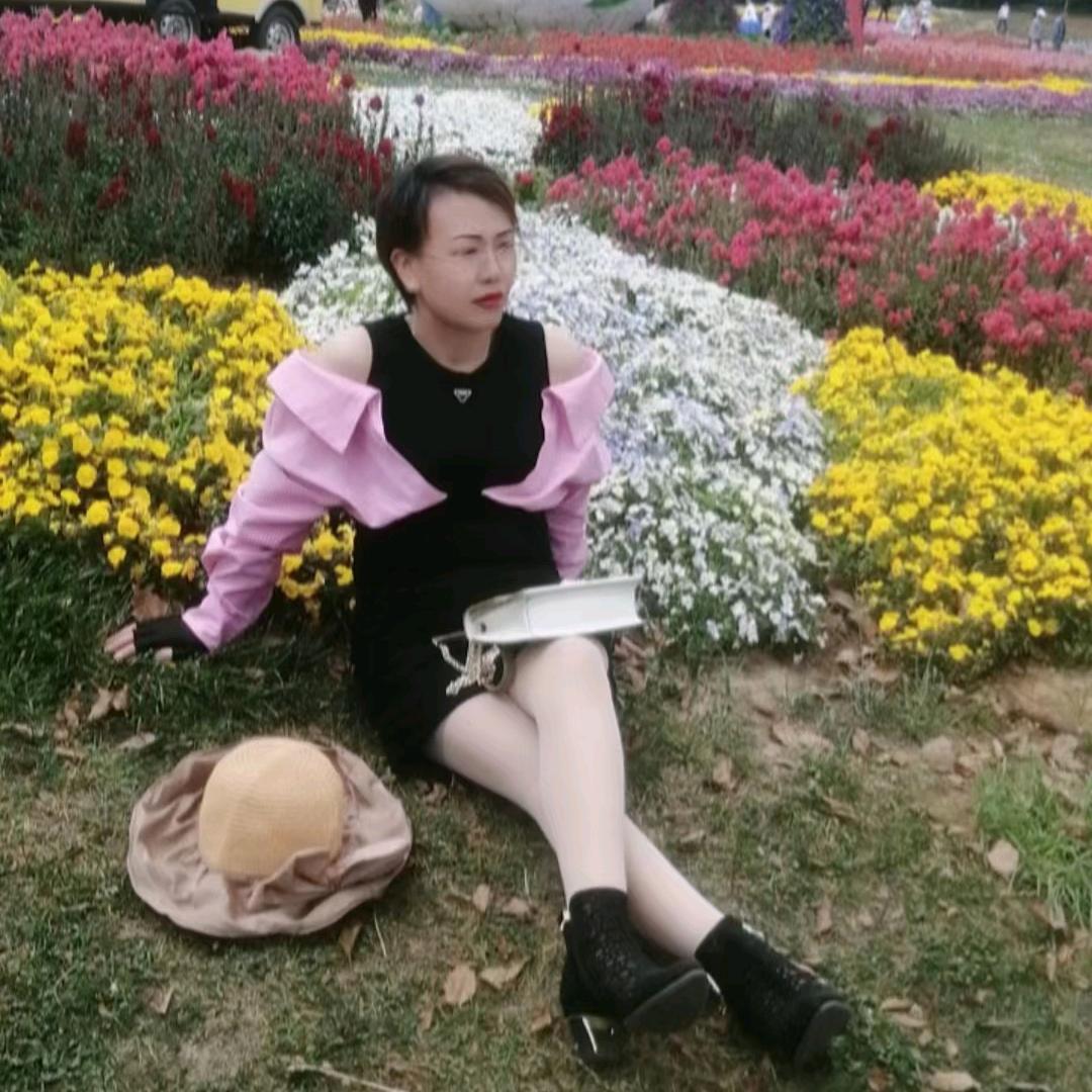 飛飛姐