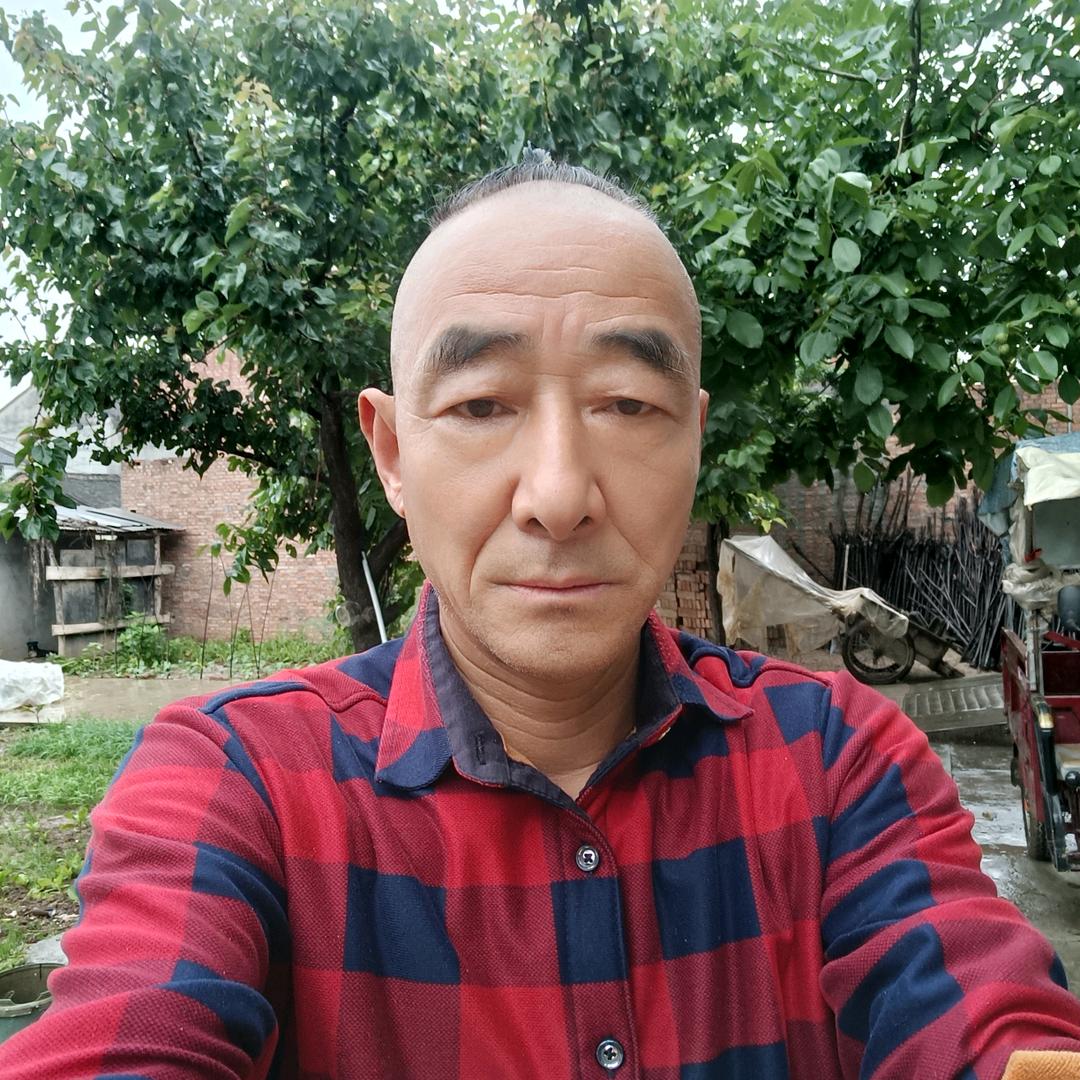 万大蛋