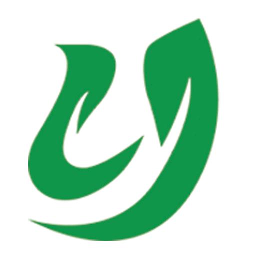 艺辰艺术官方号