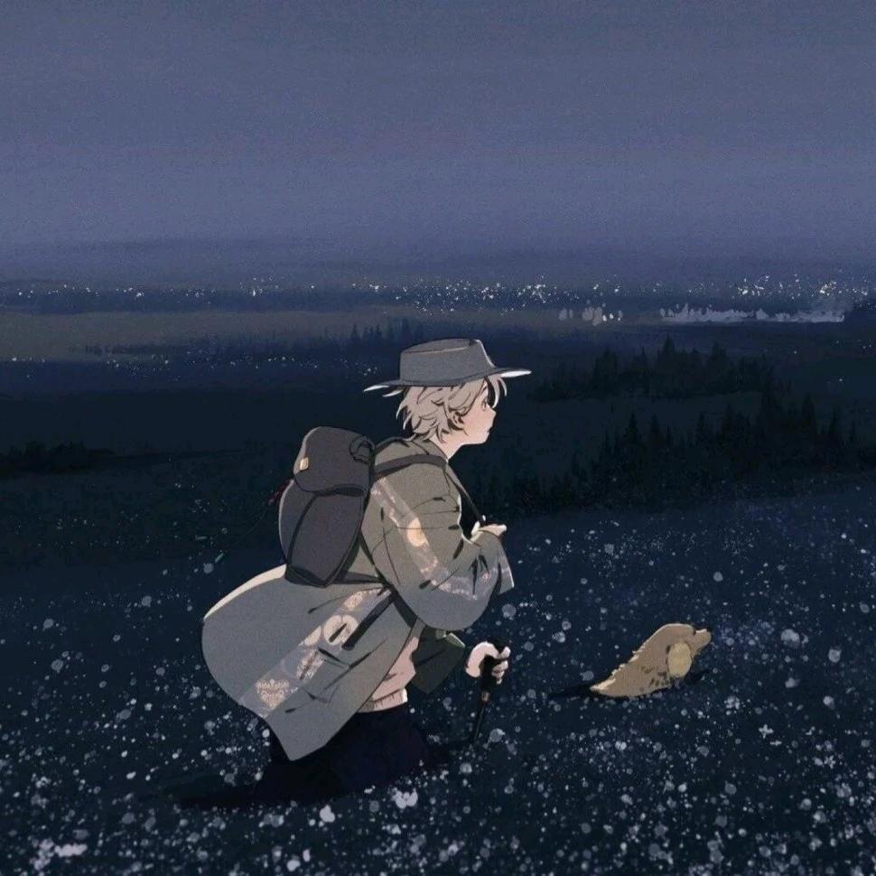 日光向往的阳光