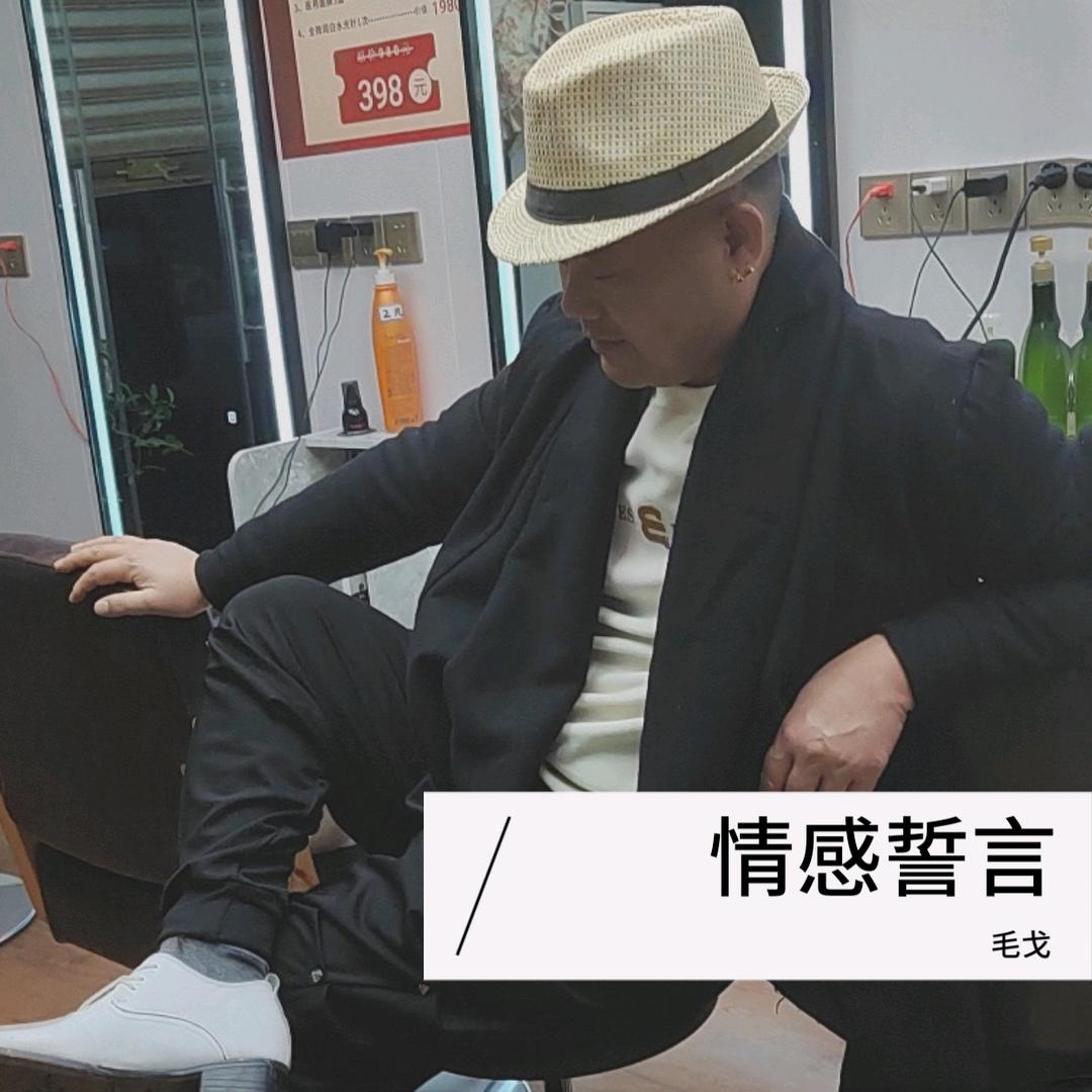 毛戈