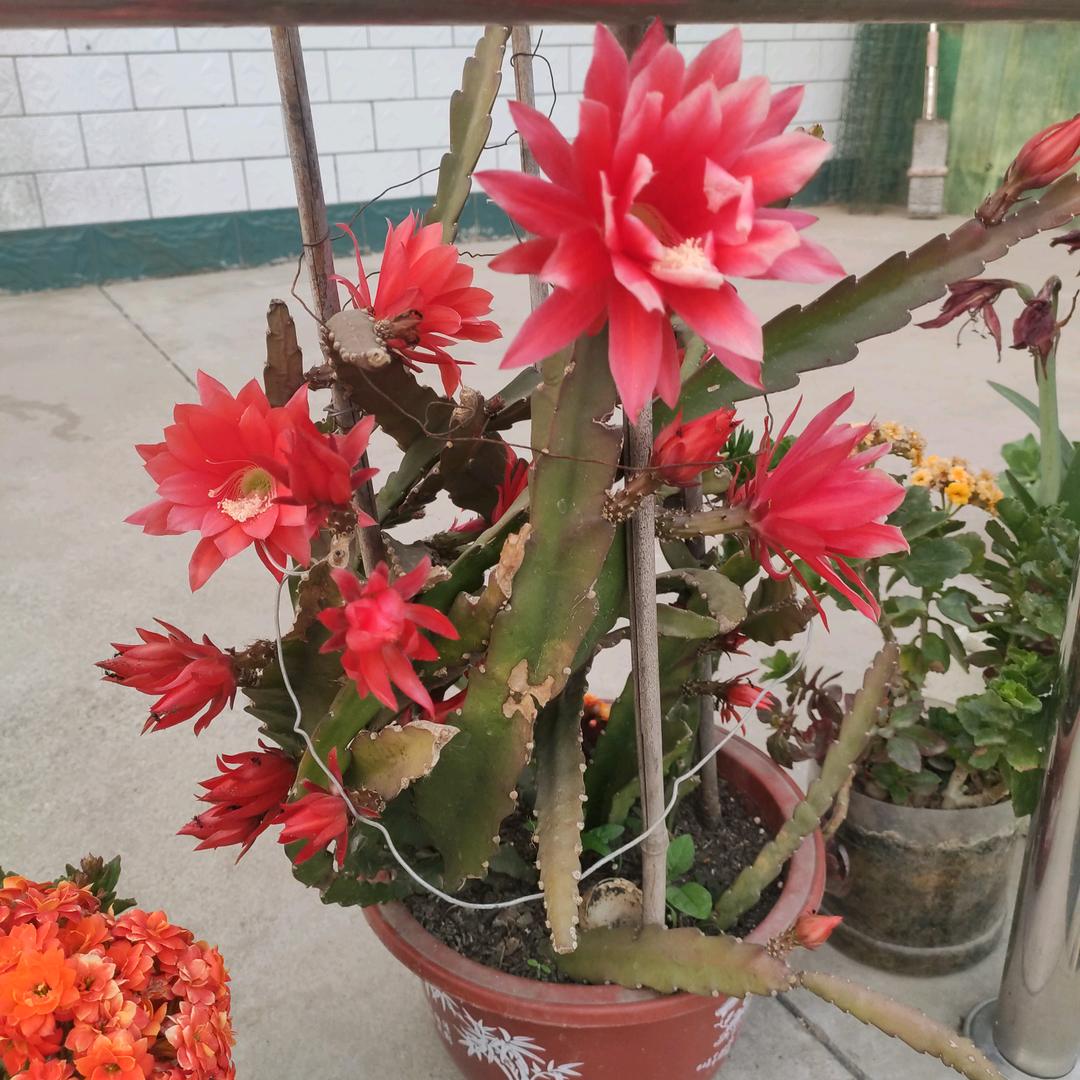 一家幸福