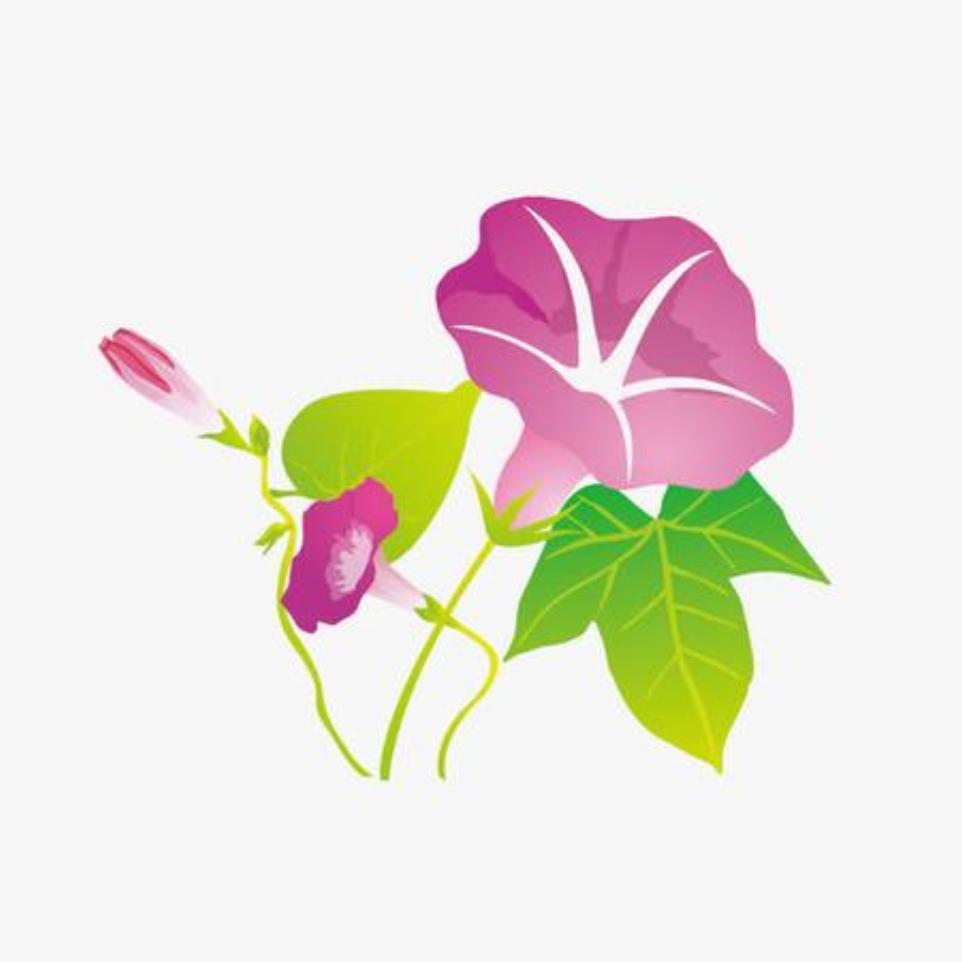 小花吃延边(美食探店)