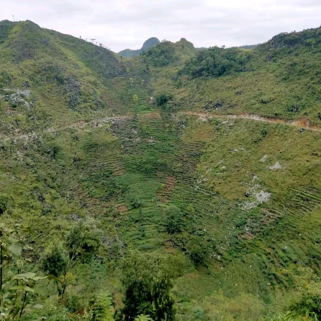 我好想你怎么办呢