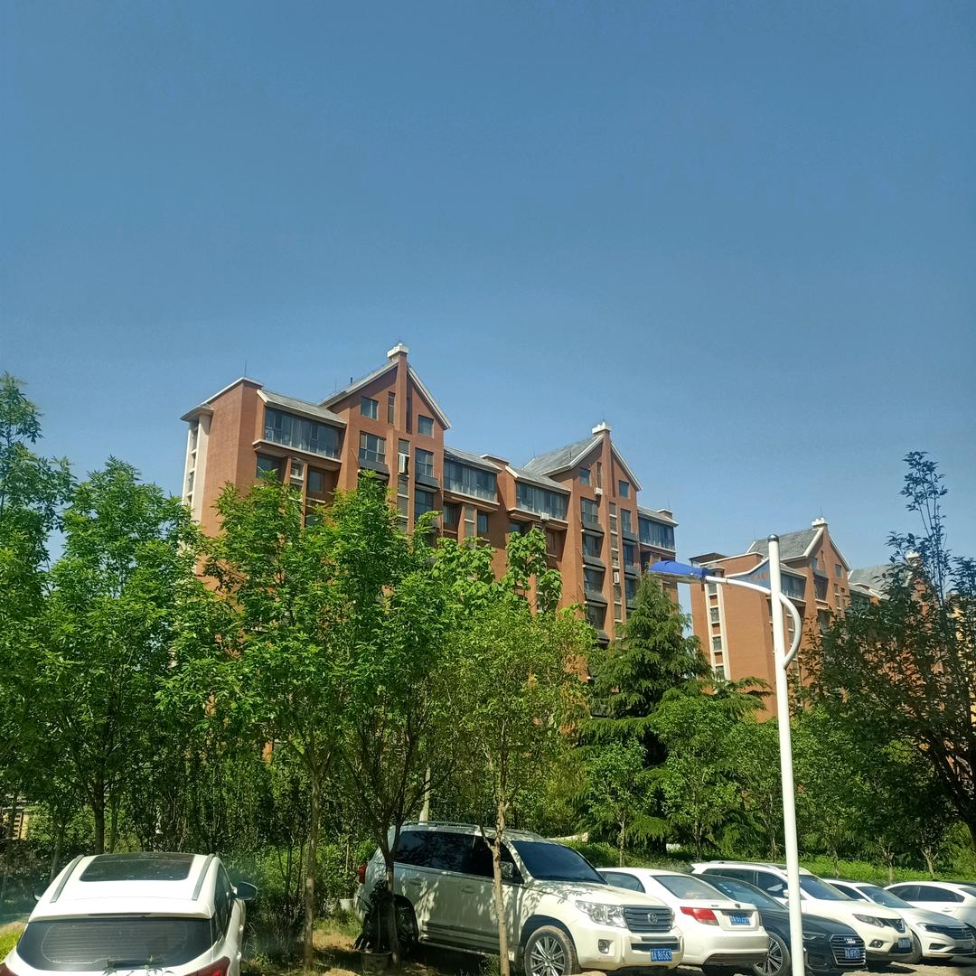 我爱你一生