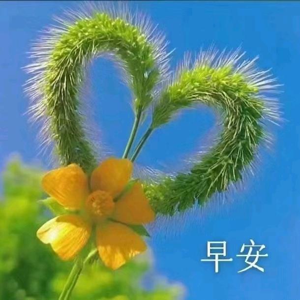 （余生…不等）🌹🌹