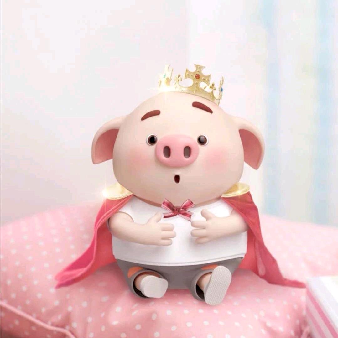 如愿🌻