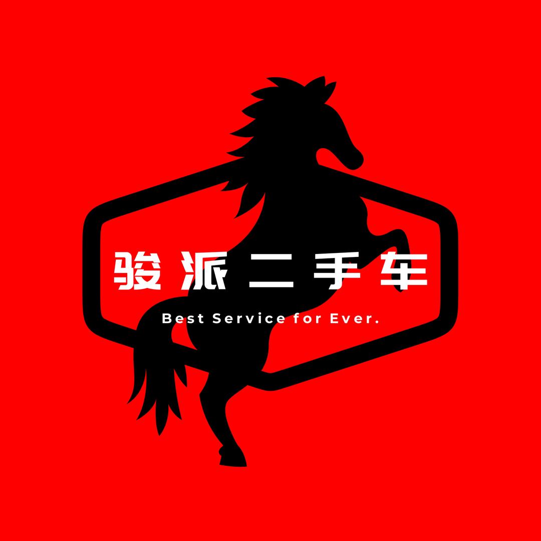 骏派二手车强子