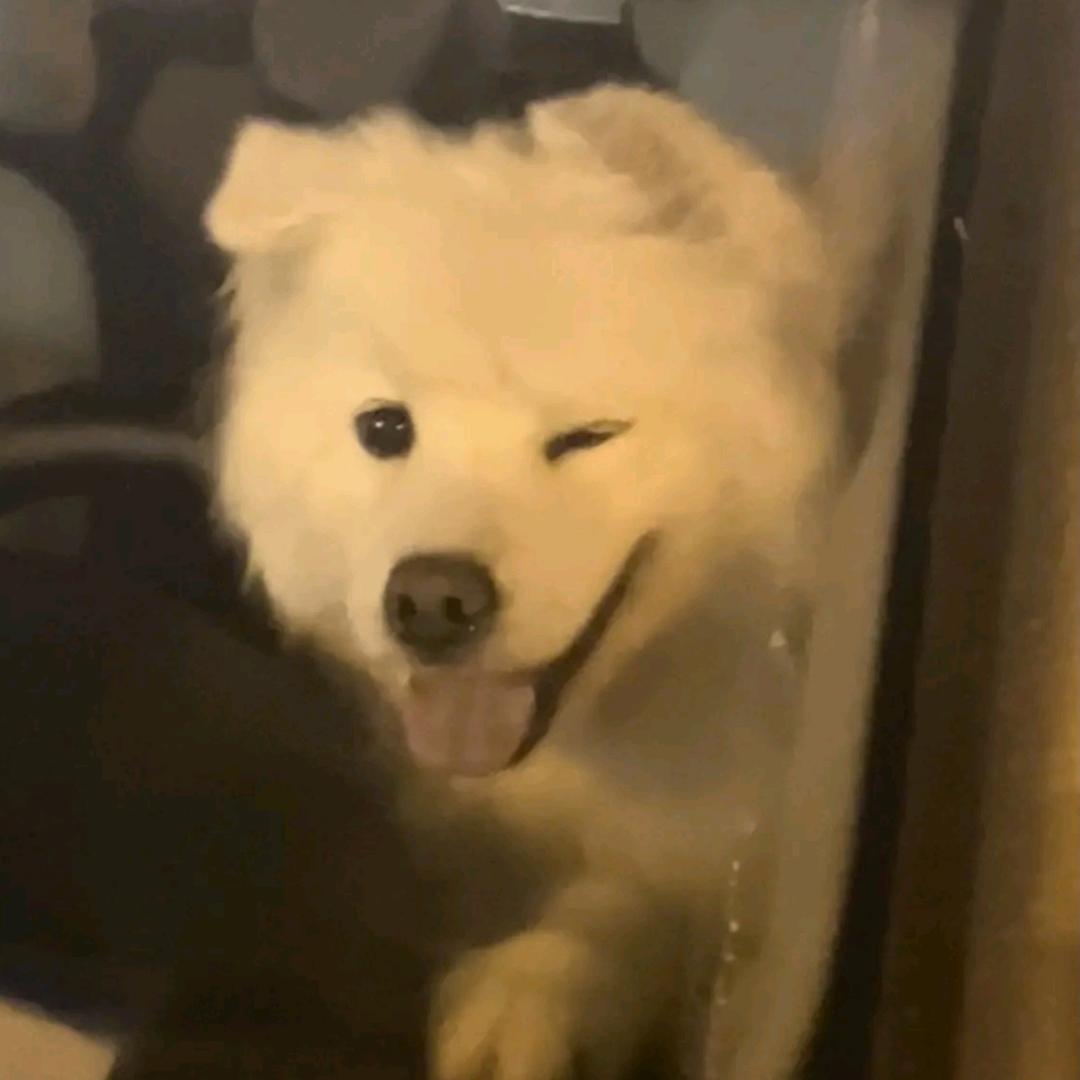 我顶着大太阳