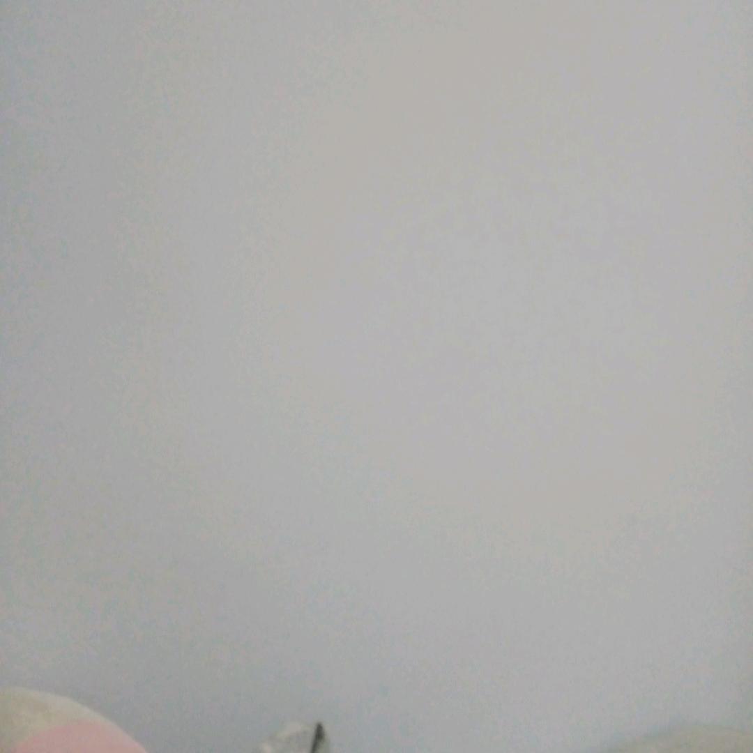 陈波