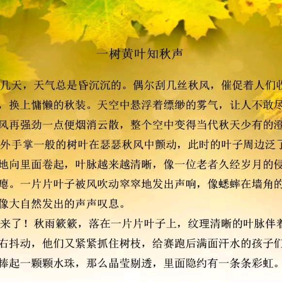箫声匿迹
