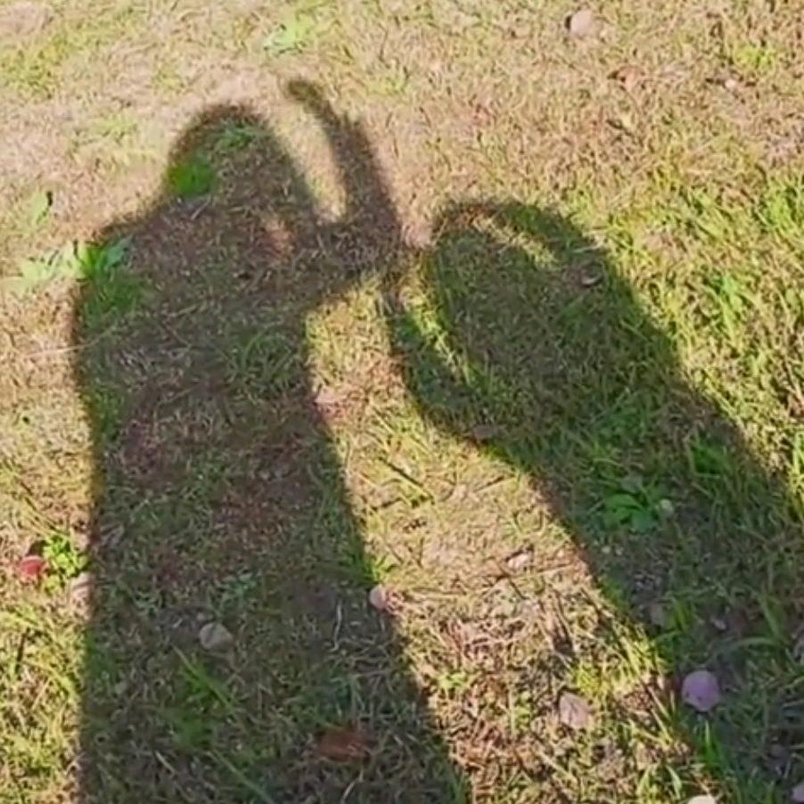 花妈的小花园