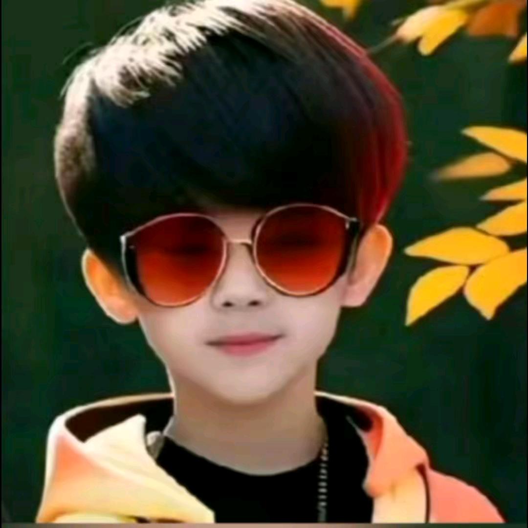 尼顿