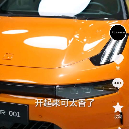 龙