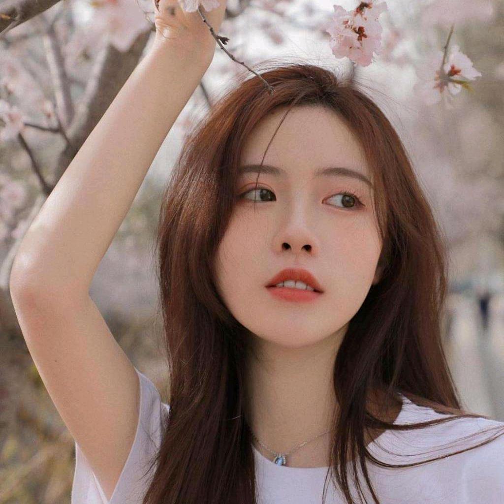 佳婴氧气森林（清雅）