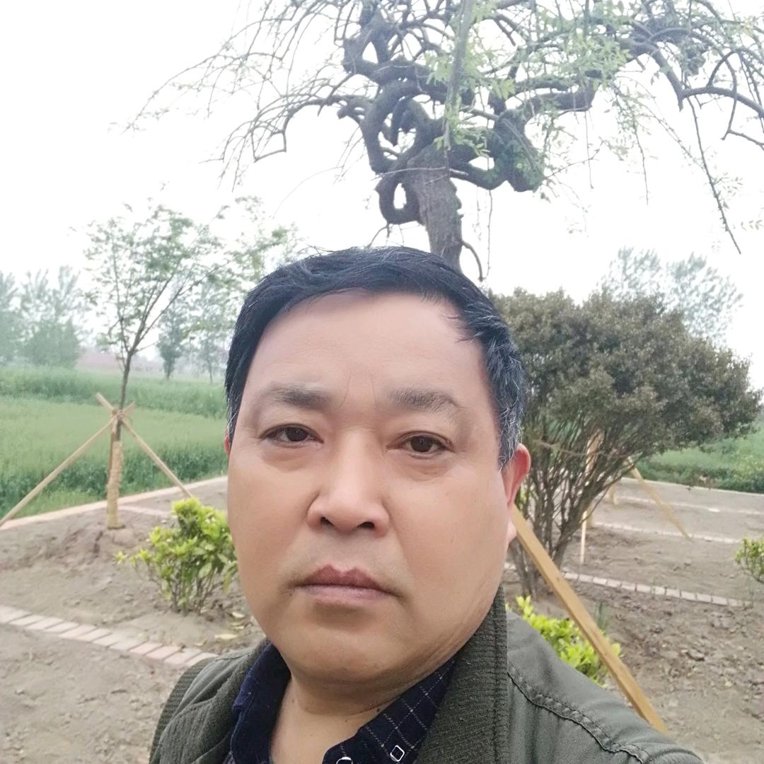 涛哥