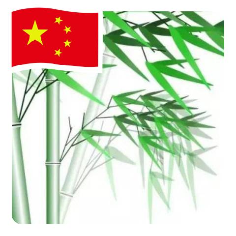 竹林闲居