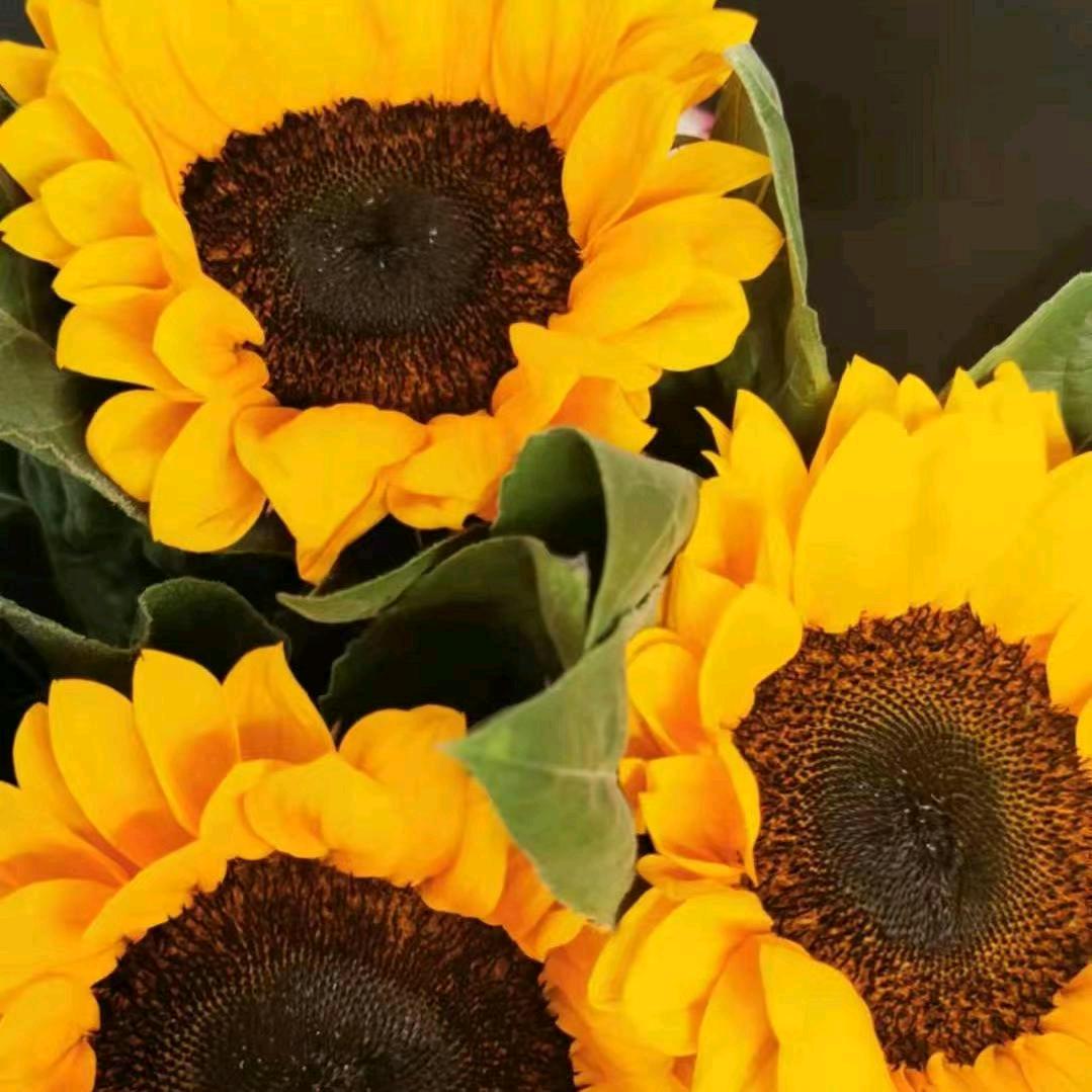 钱多多（全国美食旅行体验）