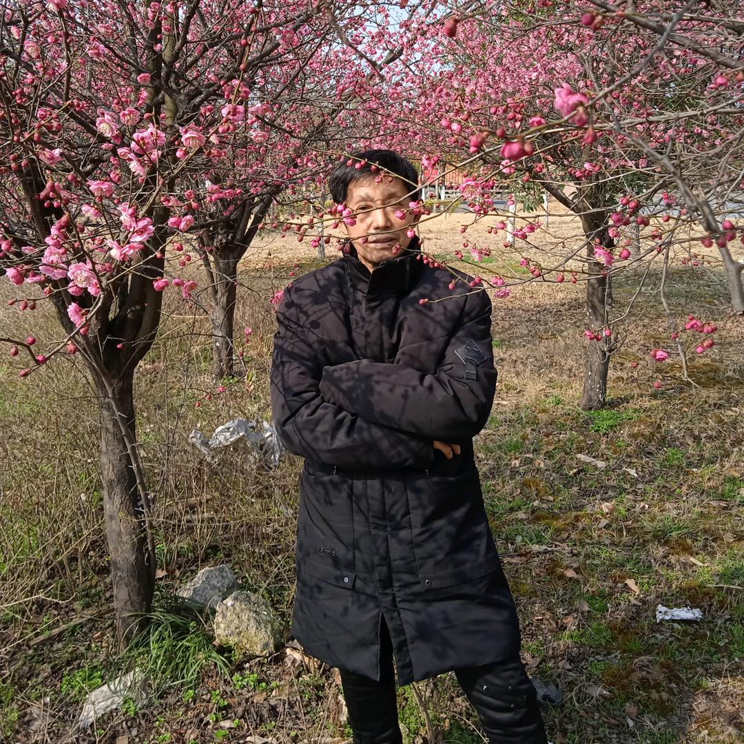 蔡发虎