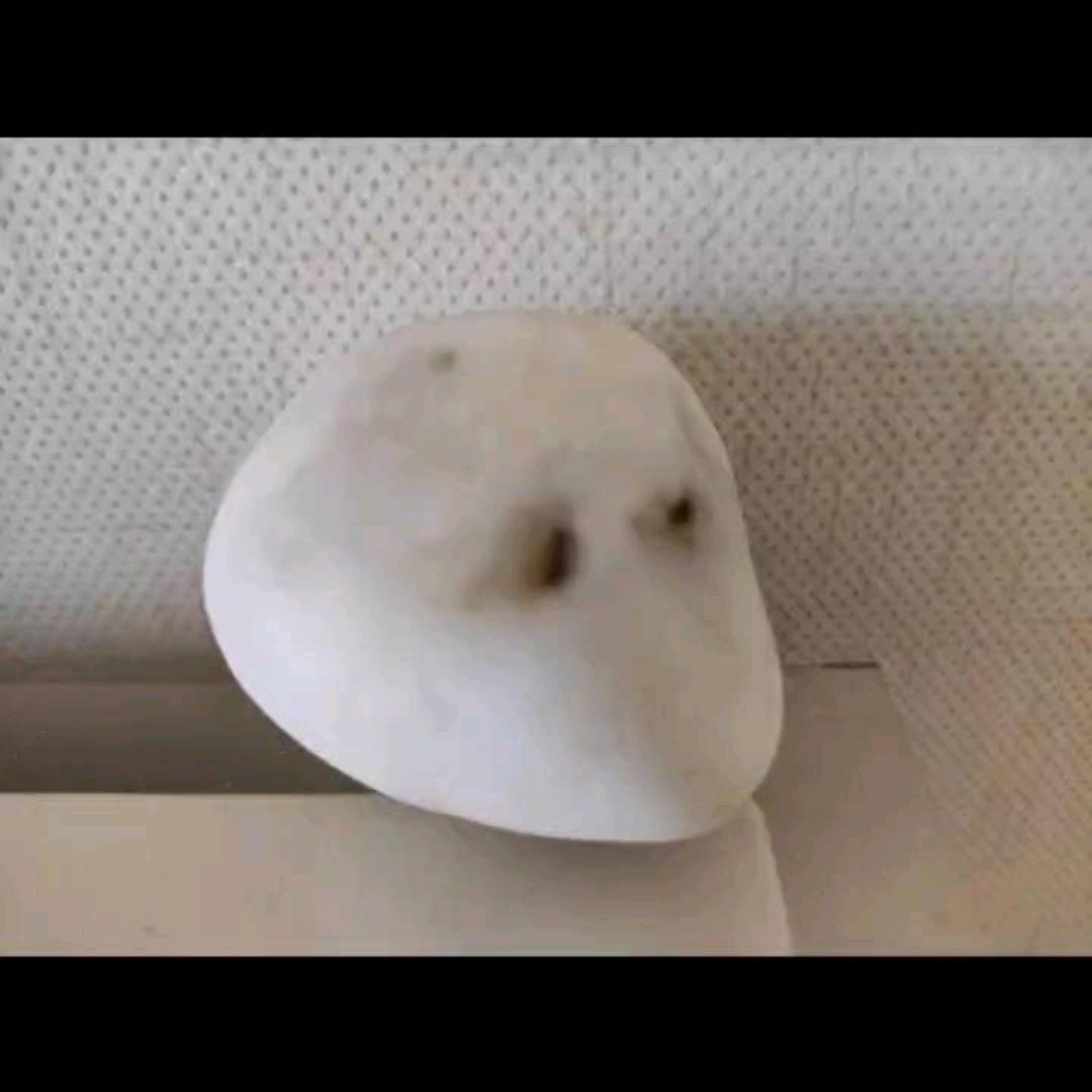 美丽的石头