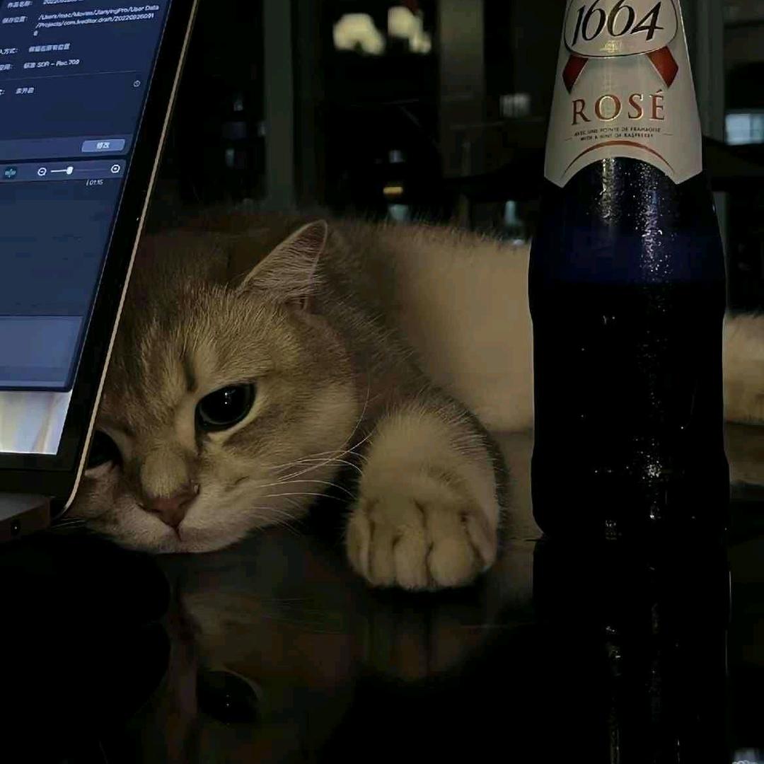 夜不收