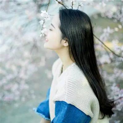 六月半夏
