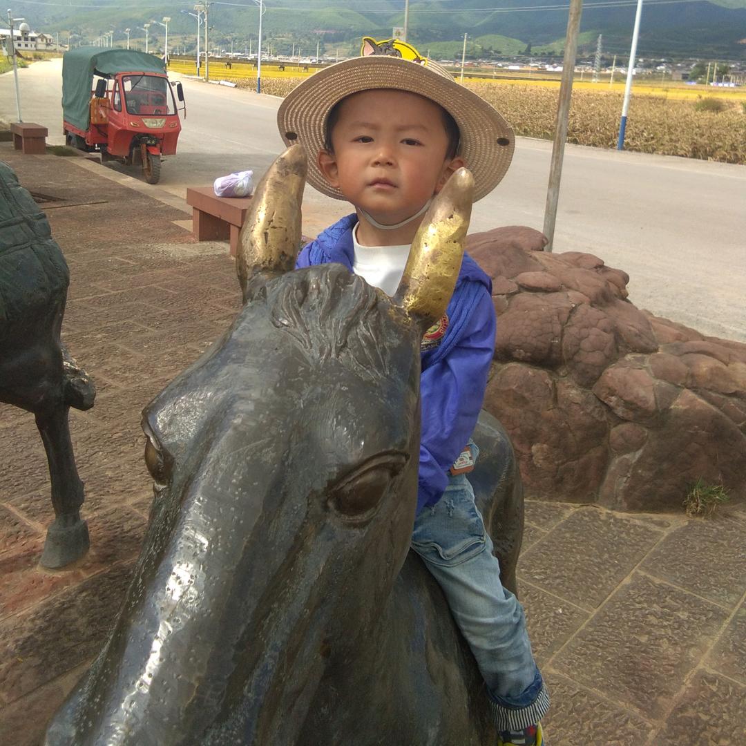 随风飘散