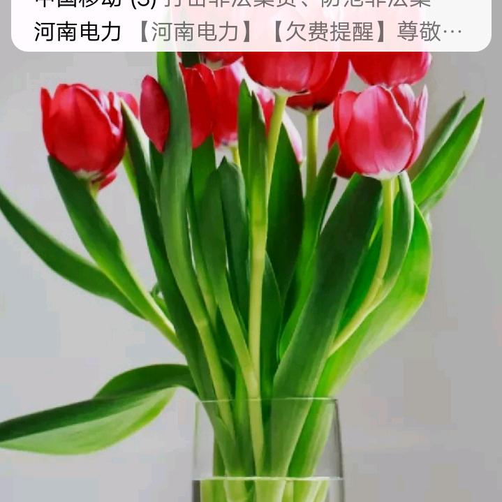 iil我是老李，我是老李