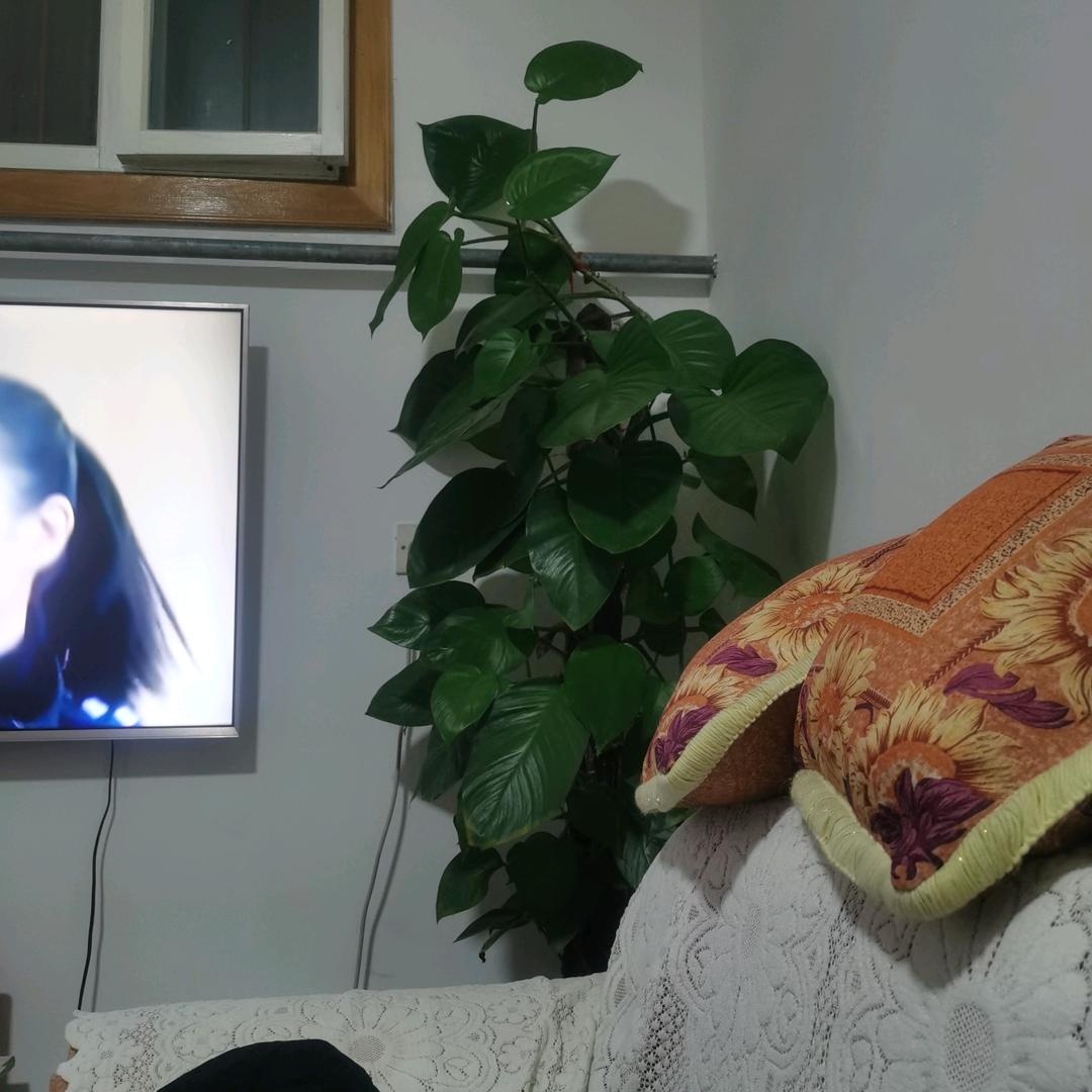 休闲娱乐