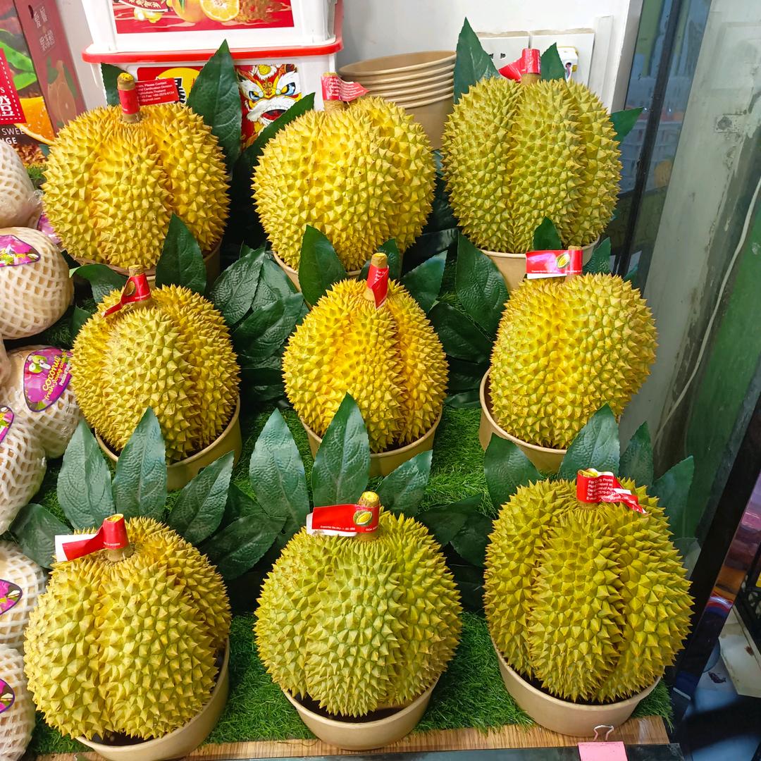 果蔬之家小时达
