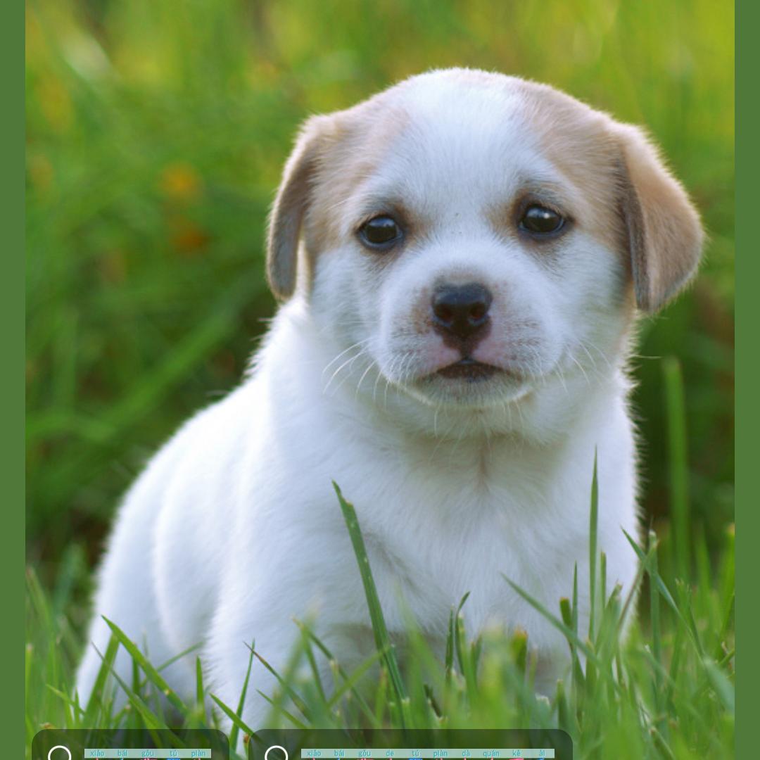 🚦💟獨🍊💝質💞🌱徘🧞‍♂️徊🚦