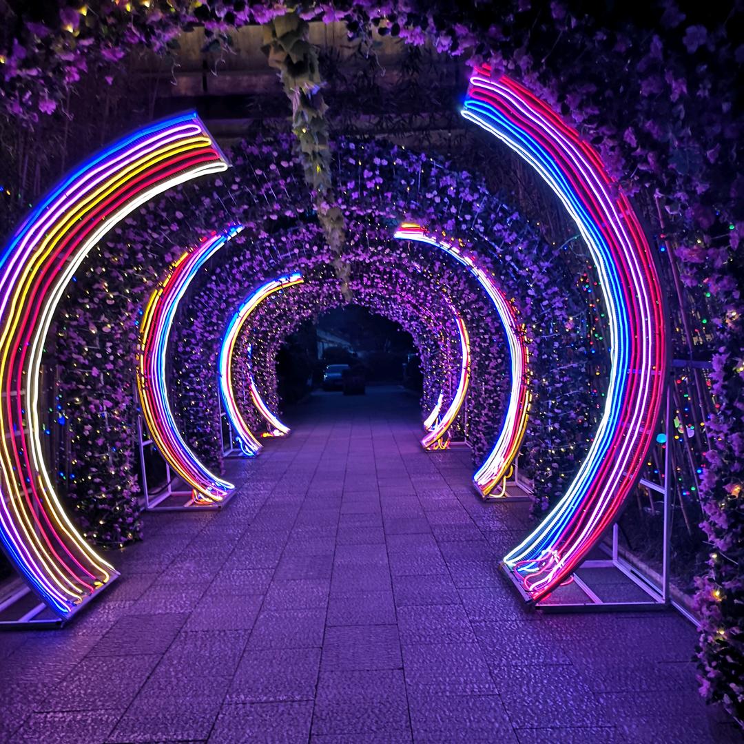 钓鱼佬（小罗）