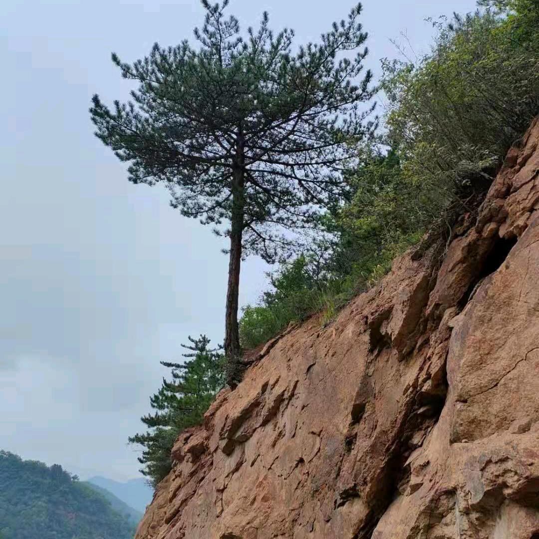 难得糊涂