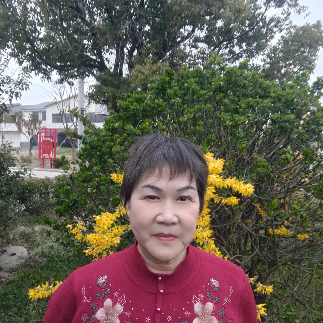 阳光姐妹文艺歌舞团万三姐