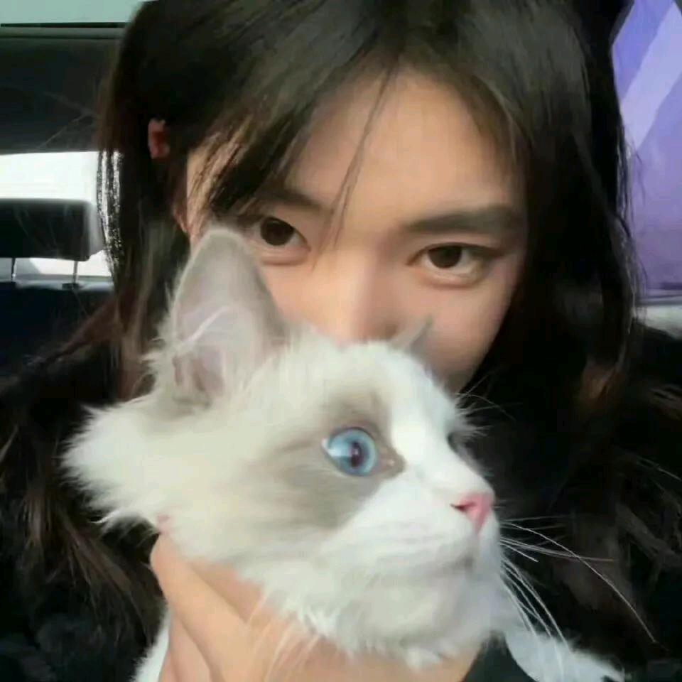 ￰￰ ￰￰￰￰ ￰￰￰￰ ￰￰￰￰ ￰￰