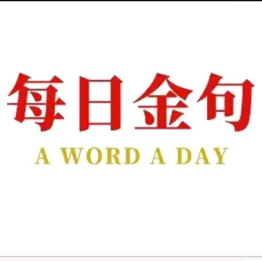 每日金句