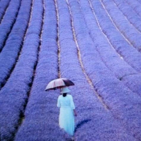杨光明媚