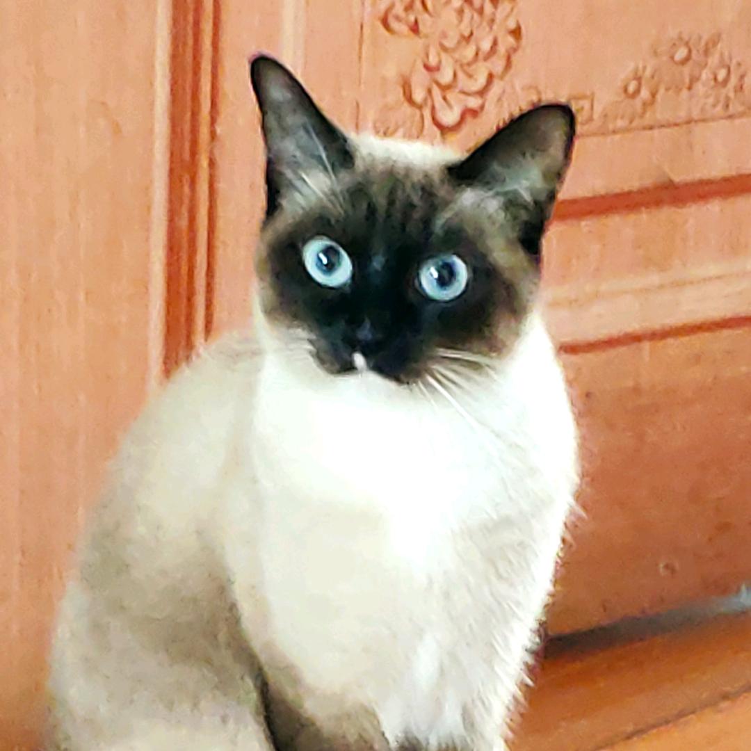 任我行జ్ఞ ా