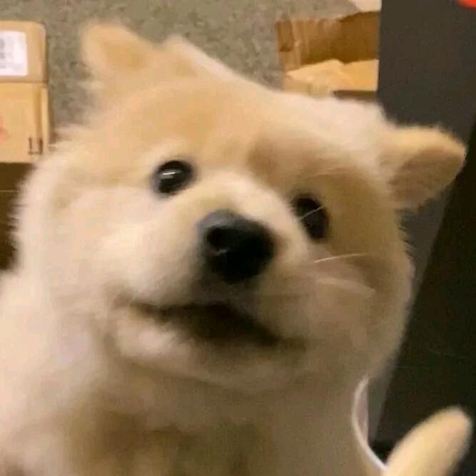 w壹
