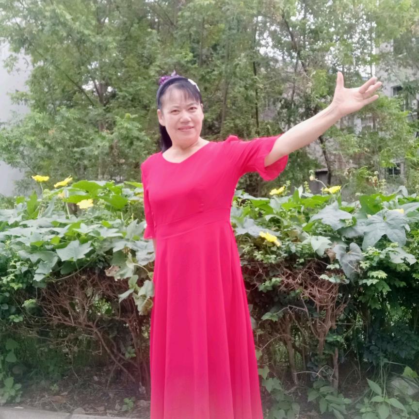 郑姐