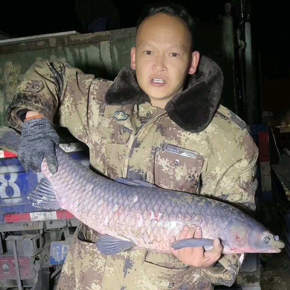 芜湖杨村河
