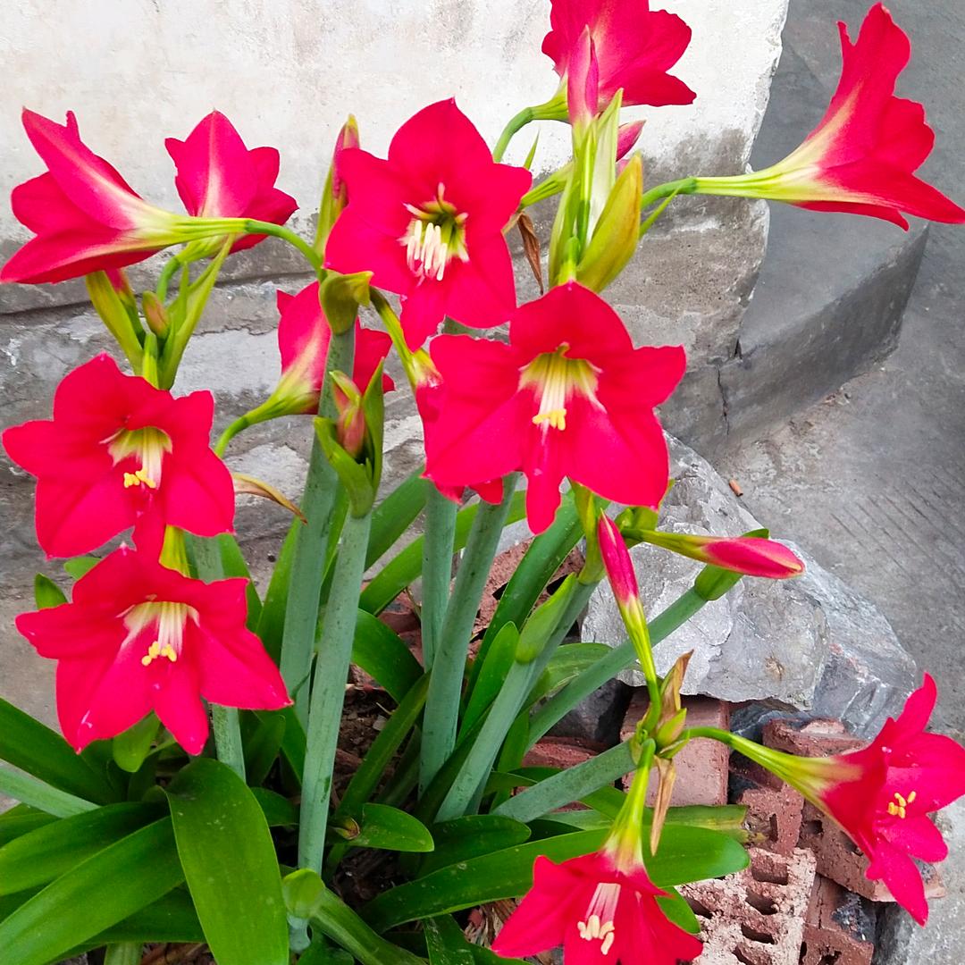 美好的回忆用户555923200428