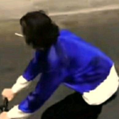 会飞的白猫（JacK）