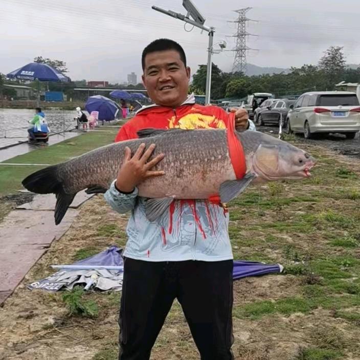 大毛爱钓鱼🎣