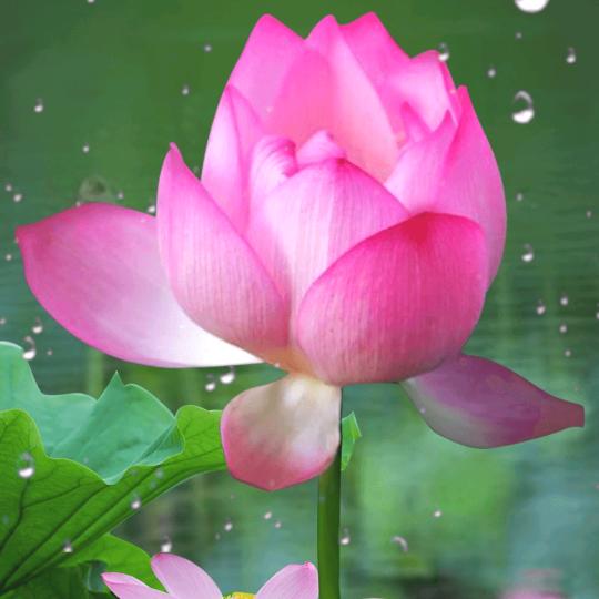 秋风 🍂落叶🍂