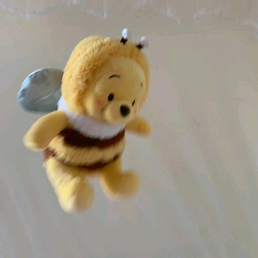 吃不了苦.