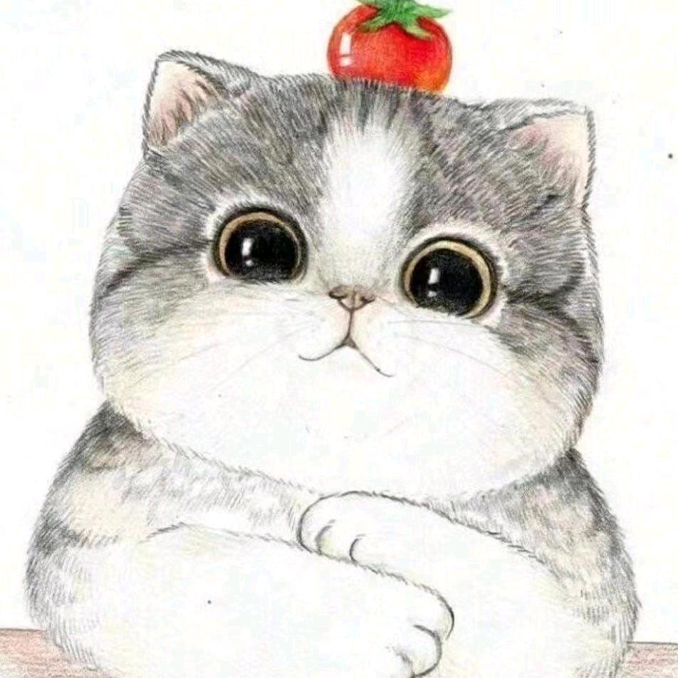 四川林鲜生绿色农品集