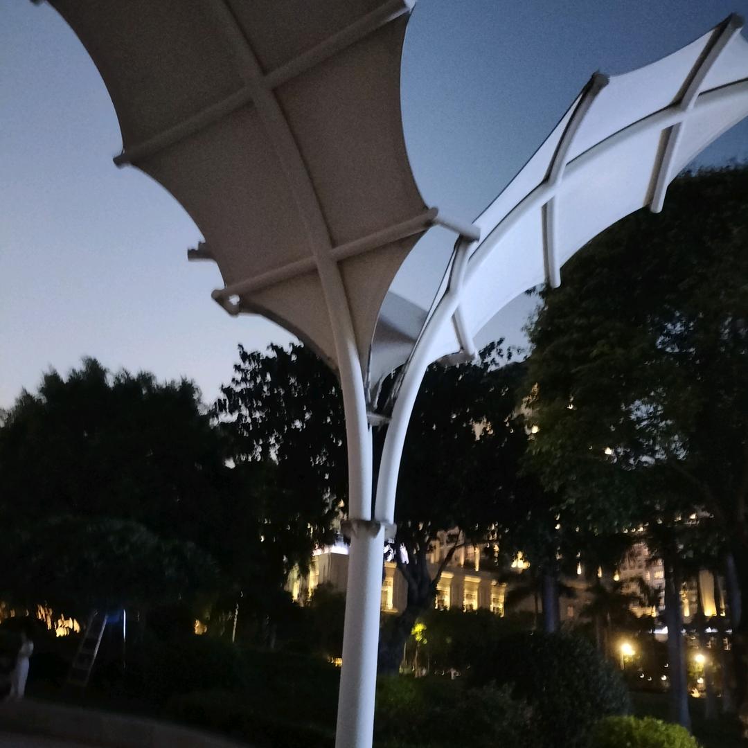 ZTJ（承蒙厚爱）